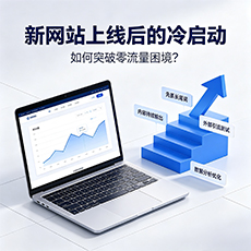 乐东建站-新网站上线后的冷启动：如何突破零流量困境？