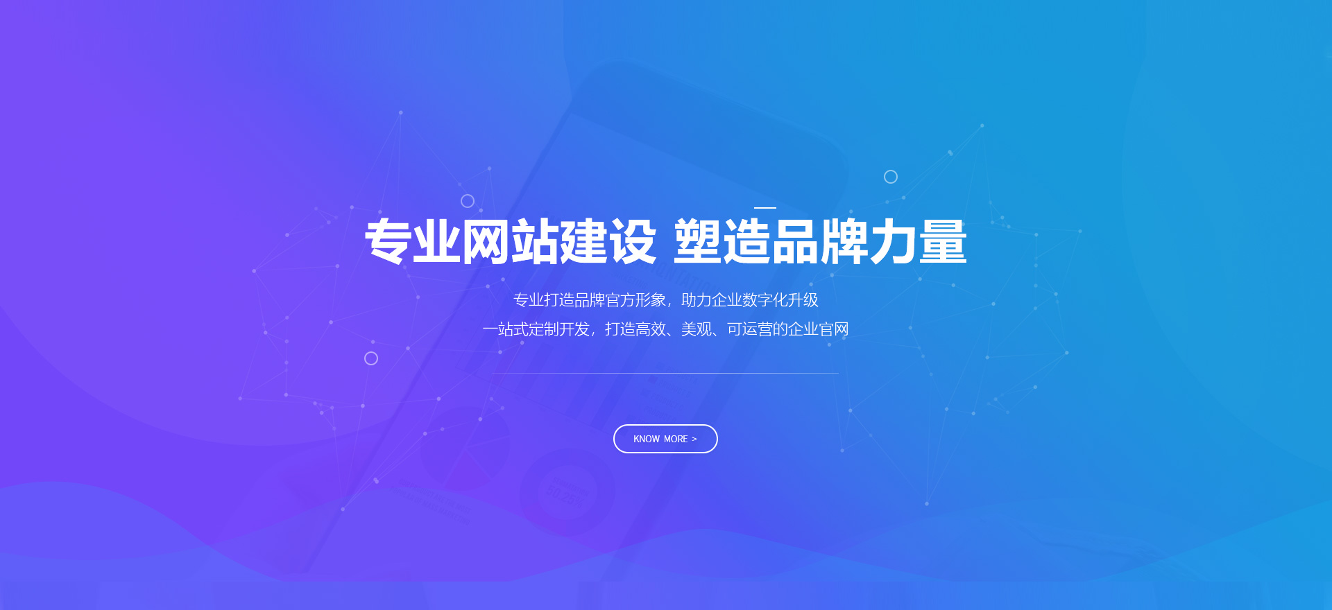 乐东建站-专业网站建设 塑造品牌力量