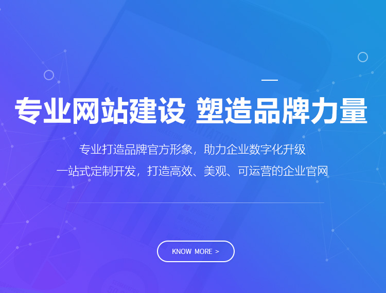 乐东建站-专业网站建设 塑造品牌力量